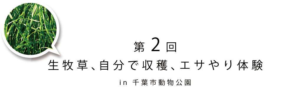 第2回 生牧草、自分で収穫、エサやり体験 in 千葉市動物公園