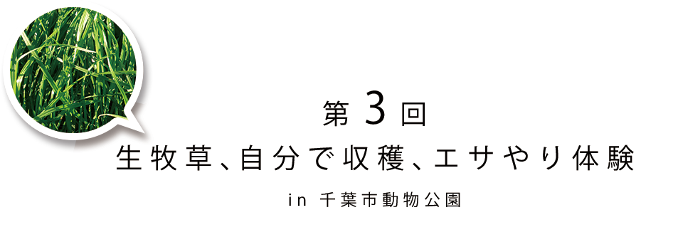 第3回 生牧草、自分で収穫、エサやり体験 in 千葉市動物公園