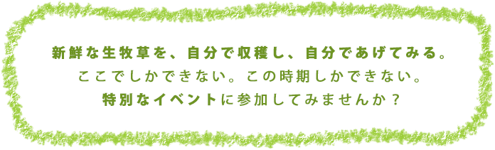 新鮮な生牧草を、自分で収穫し、自分であげてみる。ここでしかできない。この時期しかできない。特別なイベントに参加してみませんか？