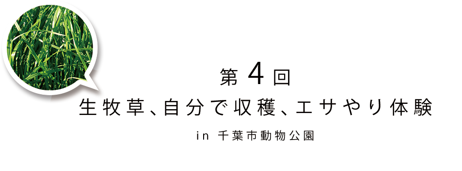 第4回 生牧草、自分で収穫、エサやり体験 in 千葉市動物公園